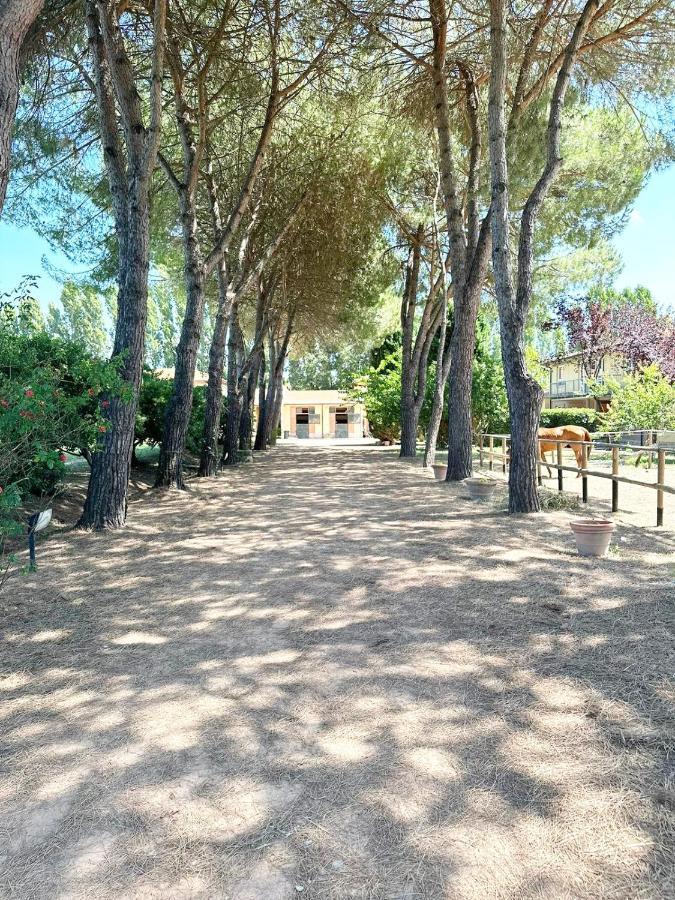 Turfrose Di San Rossore A Pisa By Zoom In Earth Bagian luar foto